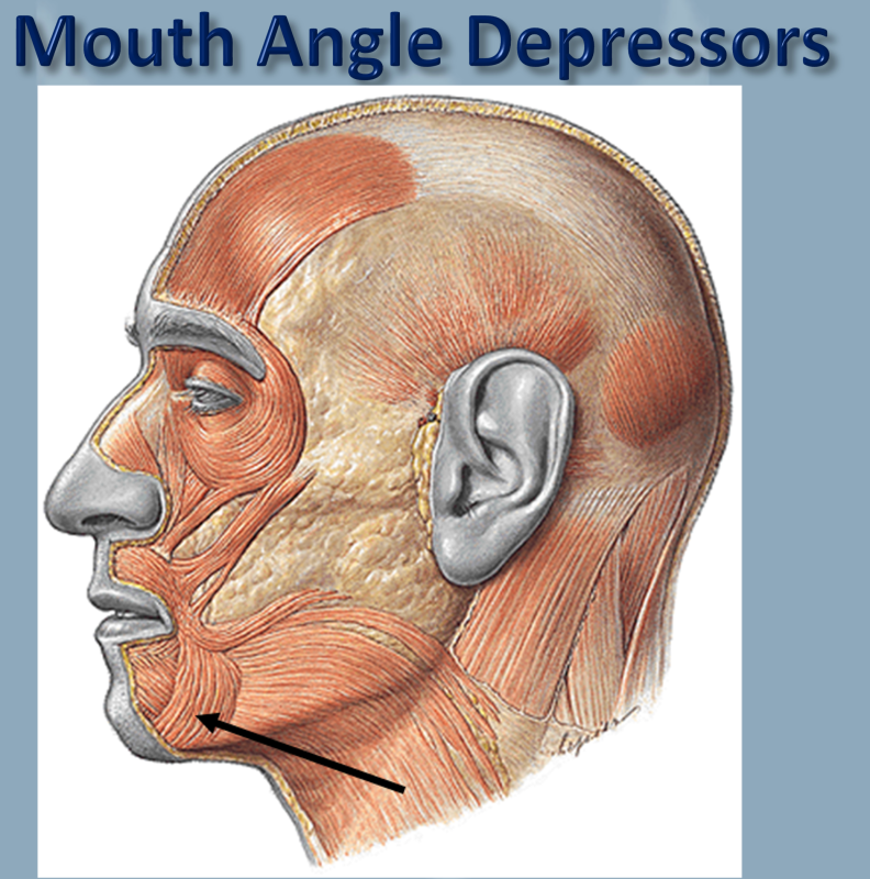 mouth angle depressors
